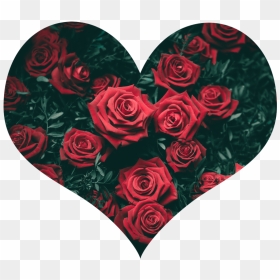 Transparent Small Red Heart Png - Roses Twitter Header, Png Download - small heart png