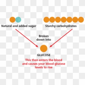 Sugar And Starch Both Increase Blood Sugar Levels - Carbohydrates Broken Into Glucose, HD Png Download - glucose png