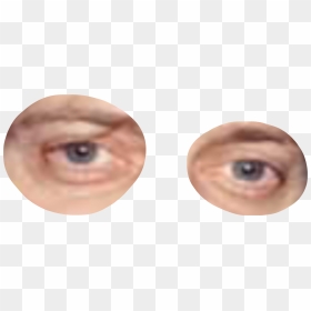 Close-up, HD Png Download - steve buscemi eyes png