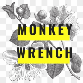 Monkey Wrench Logo Square, HD Png Download - monkey wrench png