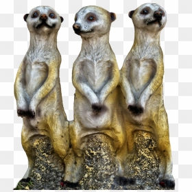 Meerkat Ceramic, HD Png Download - meerkat png