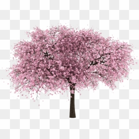 Cherry Blossom Png No Background - Cherry Blossom Tree Png, Transparent Png - cherry blossom emoji png
