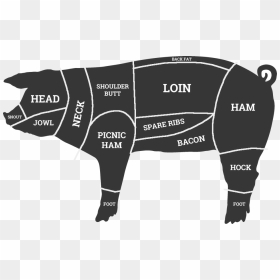 Cuts Of Pork Map , Png Download - Cuts Of Pork Map, Transparent Png - pork png
