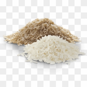 Rice Grains, HD Png Download - grains png