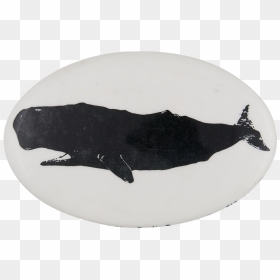 Greenpeace Sperm Whale Cause Button Museum - Manatee, HD Png Download - sperm whale png