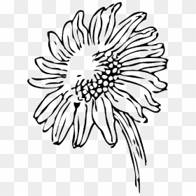 Black And White Clipart Sun Clip Black And White Sun - Sunflower Clipart Black And White Png, Transparent Png - sun clipart black and white png