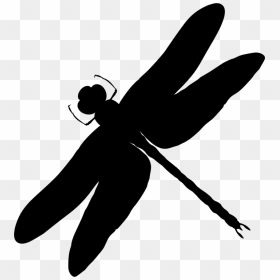 Intricate Dragonfly Silhouette - Dragonfly Clipart Transparent, HD Png Download - dragonfly silhouette png