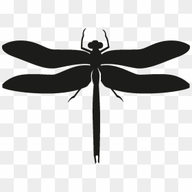 Insects Set [silhouette] Png - Dragonfly Silhoutte Png, Transparent Png - dragonfly silhouette png