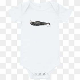 Killer Whale, HD Png Download - sperm whale png