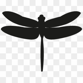 Insects Set [silhouette] Png - Transparent Dragonfly Silhouette, Png Download - dragonfly silhouette png