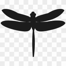 Download Dragonfly Png Transparent Image - Dragonfly Silhouette ...