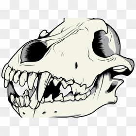 Mouth Clipart Wolf - Dog Skull Drawing, HD Png Download - dinosaur skull png