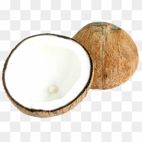 Two Half Coconut Png Image - Coconuts Png, Transparent Png - coconut drink png