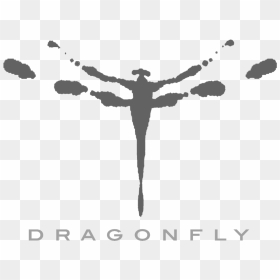 Dragonfly-logo, HD Png Download - dragonfly silhouette png