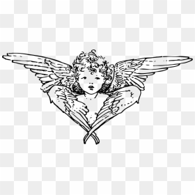 The Christmas Angel - Angel Cherub Line Art, HD Png Download - christmas angel png