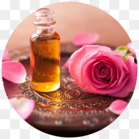 Transparent Amber Rose Png - Ruh Gulab Hd, Png Download - essential oils png