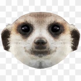 Meerkat, HD Png Download - meerkat png