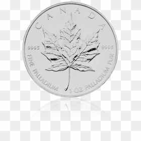 Maple Leaf, HD Png Download - canada maple leaf png