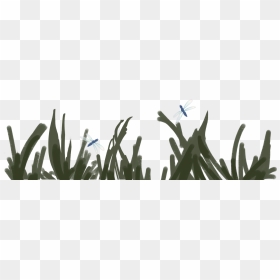Animal Groups Roleplay Wiki - Silhouette, HD Png Download - dragonfly silhouette png