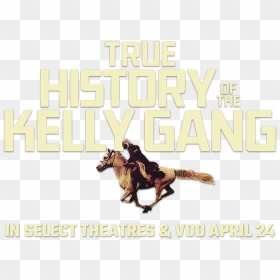 True History Of The Kelly Gang - Stallion, HD Png Download - charlie hunnam png