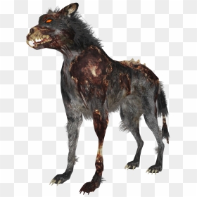 Zombie Wolf Zps4bf8a59d - Black Ops 1 Hellhounds, HD Png Download - cod zombies png