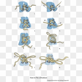 Information Leaflet Illustrating How To Tie A Shoelace - Visual Instructions For Tying Shoes, HD Png Download - shoelace png