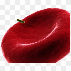 Comfort, HD Png Download - red smoke png transparent