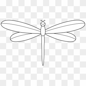 Dragonfly Clipart Dxf - Dragon Fly Black And White Clipart, HD Png Download - dragonfly silhouette png
