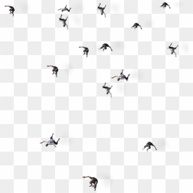 Story 10 - Flock, HD Png Download - chris hero png