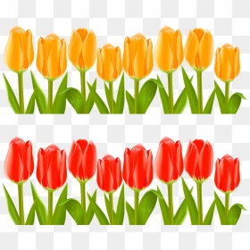 Indira Gandhi Memorial Tulip Garden Flower Clip Art - Clip Art Of Tulips, HD Png Download - garden flowers png
