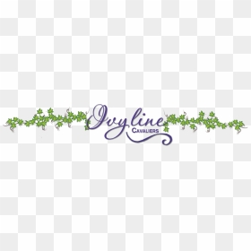Ivyline Cavaliers - Calligraphy, HD Png Download - cavaliers png