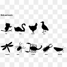 Cartoon, HD Png Download - dragonfly silhouette png