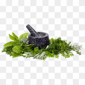 Mortar Transparent Background - Mortar Pestle Herbs Png, Png Download - mortar and pestle png