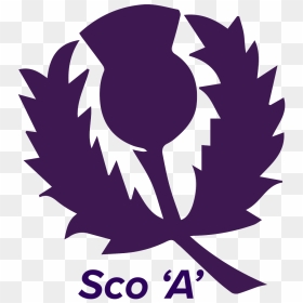 Thumb Image - Scotland Cricket Team Logo, HD Png Download - cricket logo png
