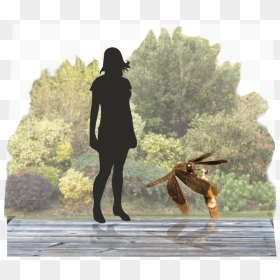 Dragonfly - Dog, HD Png Download - dragonfly silhouette png