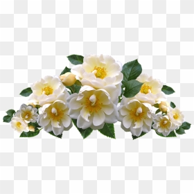 Roses, White, Flowers, Arrangement, Garden, Nature, HD Png Download - garden flowers png