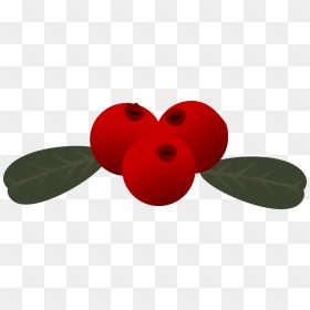Transparent Holly Berry Clipart - Red Berries Clipart, HD Png Download - holly berry png