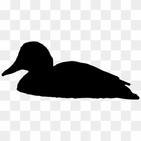 Swimming Duck Silhouette Png , Png Download - Swimming Duck Silhouette ...