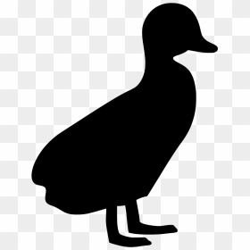 Duck Silhouette , Png Download - Duck Silhouette Png, Transparent Png - duck silhouette png