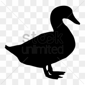 Free Download Duck Silhouette Clip Art Clipart Duck - Duck Silhouette Transparent Background, HD Png Download - duck silhouette png