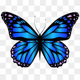 Butterfly Clipart, HD Png Download - butterfly tattoo png