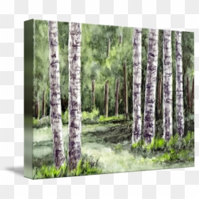 Transparent Watercolor Trees Png - Watercolor Birchtrees, Png Download - watercolor trees png