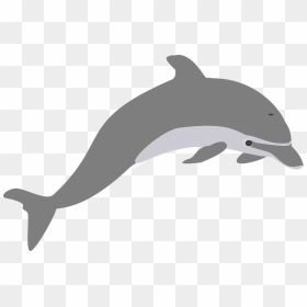 Grey Dolphin Clipart, HD Png Download - elegant png