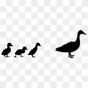 Row Of Ducks In Water Silhouette Png - Silhouette Ducks In A Row, Transparent Png - duck silhouette png
