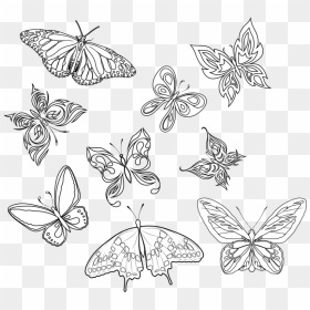 Butterfly Tattoo Art Insects Photography Butterflies - Butterfly Tattoo Line Drawing, HD Png Download - butterfly tattoo png