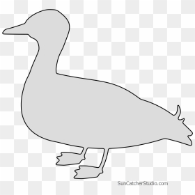 Free Duck Silhouette Bird Pattern Template To Print - Duck, HD Png Download - duck silhouette png