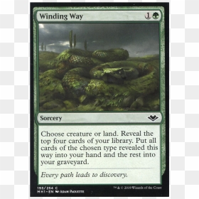 Tall As A Beanstalk Mtg, HD Png Download - winding path png