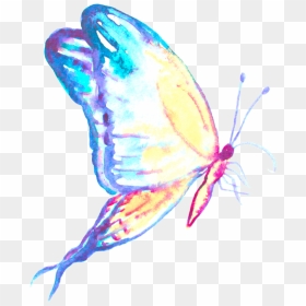 Butterfly Tattoo Insect Blue Ulysses Free Transparent - Butterfly Tattoo Png Transparent, Png Download - butterfly tattoo png