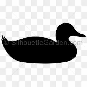 Duck On Water Silhouette , Png Download - Mallard Duck Silhouette Clip Art, Transparent Png - duck silhouette png