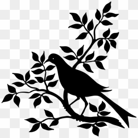 Bird On A Branch Clipart Black And White, HD Png Download - dove silhouette png